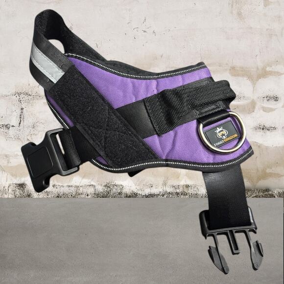 Doggy Kingdom No-Pull Dog Harness in Purple Large NEW - Picture 1 of 4